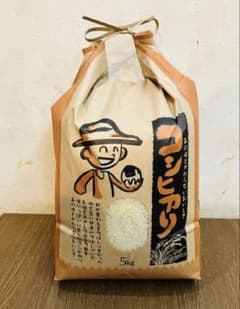 コシヒカリ 5キロ 令和7年度産 京都府産 精米済み - メルカリ