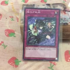 揺るがぬ絆のサムネイル