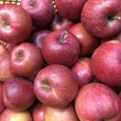 サンふじ 食べ切りサイズ ３kgのサムネイル