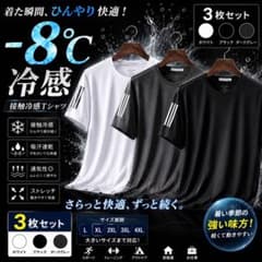 【2XL】冷感Tシャツ 3枚セット メンズ 速乾 通気性 メッシュ 白 黒 グレのサムネイル