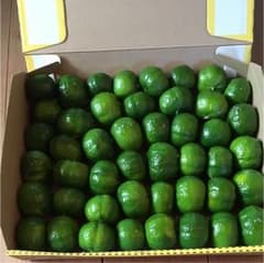 無農薬シークワーサー千葉県産のサムネイル