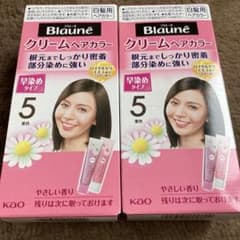 ブローネ 白髪染め クリームヘアカラー 5 栗色のサムネイル