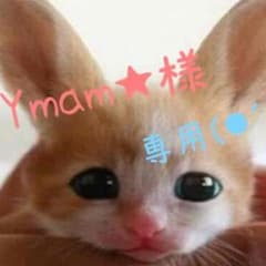Ymam★様専用のサムネイル