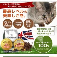 カナガン キャットフードのサムネイル