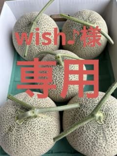 メロン農家直送 訳あり 5玉入り 糖度は十分あります - メルカリ