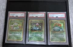 PSA10】3連番 フシギダネ フシギソウ フシギバナ クラシック - メルカリ