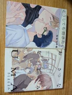 ボーイズラブ漫画 2冊セットのサムネイル