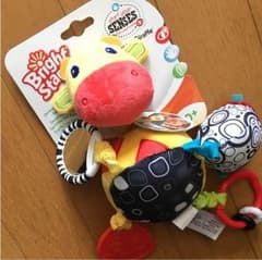 カサカサ鳴るおもちゃのサムネイル