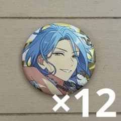 HiMERU 缶バッジ 12個 まとめ売り あんスタ - メルカリ