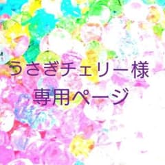 うさぎチェリー様専用ページのサムネイル