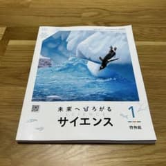 m50109393076_1.jpg?1751266500