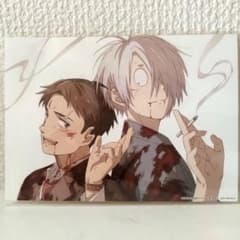 m50109736714_1.jpg?1729305063