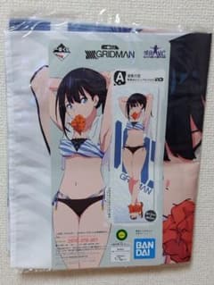 SSSS.GRIDMAN A상 다카타 롯카 등신대 비주얼 크로스