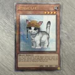 希少】遊戯王 英語版 レスキューキャット 25thシークレットレア 1st