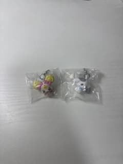 わんだふるぷりきゅあ スマイルプリキュア めじるしチャームのサムネイル