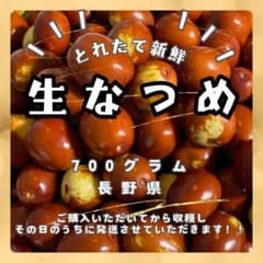 なつめ　生なつめ　700グラム 長野県のサムネイル