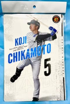 m50131778166_1.jpg?1751063748