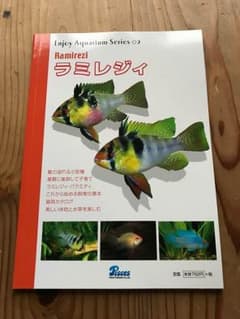 【値下げします】エンジョイ アクア シリーズ  ラミレジィのサムネイル