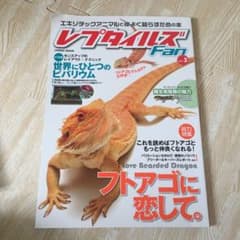レプタイルズFan vol.3 (総力特集フトアゴに恋して。/大特集世界にひと…のサムネイル