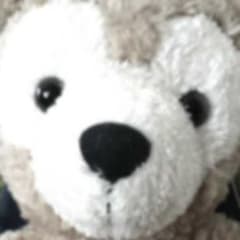 すし様 専用出品のサムネイル