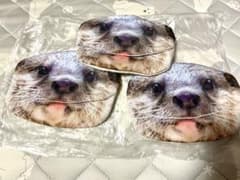 どうぶつの口からティッシュポーチ？!  カワウソのサムネイル