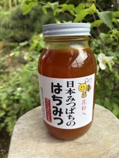 ハチミツ 日本蜜蜂の花粉入り蜂蜜 奥山の奥 - メルカリ