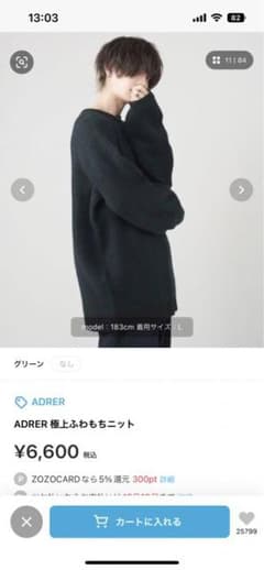 アドラー　セーターのサムネイル