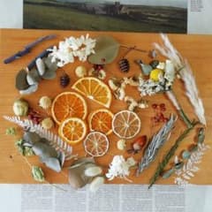 くすみカラーのドライフラワー花材　368　クレイケーキ飾り　ドライフルーツのサムネイル