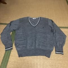 COSMOS CLUB Vネックセーター グレー LLのサムネイル