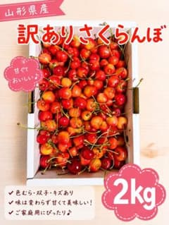 山形県産訳ありさくらんぼ 2キロ - メルカリ