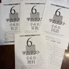 2026年度 6月 学力テスト 小6B 4教科セット - メルカリ