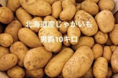 北海道産じゃがいも10kgのサムネイル