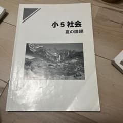 小5 社会 夏の課題 早稲田アカデミー 早稲アカのサムネイル