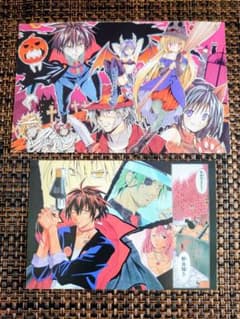 BLACK CAT ポストカード 2枚セット トレイン イヴ キョウコ | Mercari