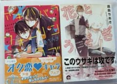 嘉島ちあき BL漫画2冊セット「アキハバラフォーリンラブ」「花とうさぎ」のサムネイル