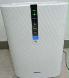 m50172407829_1.jpg?1547604167