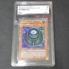 m50173617565_1.jpg?1717232601