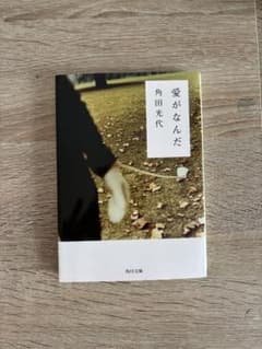 愛がなんだ 角田光代のサムネイル