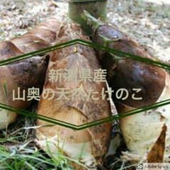 takezoozoo様専用のサムネイル
