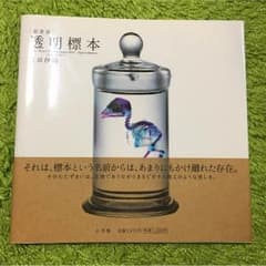 透明標本のサムネイル