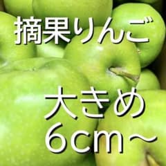 手摘　摘果りんご　大きめ　約10kgのサムネイル