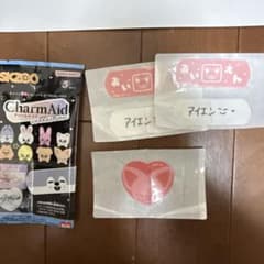 straykids SKZOO CharmAid アイエン フォクシニー　スキズ