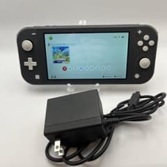 Switchライト本体グレー 充電器付き - メルカリ