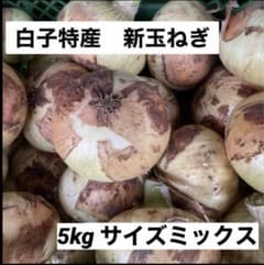 白子産　新玉ねぎ　【サイズお任せM-3L】送料込みのサムネイル