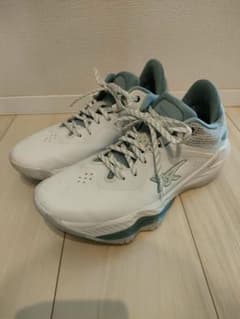 【中古】アシックス　NOVA SURGE LOW　26.5cmのサムネイル