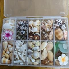 ハンドメイド材料☆貝殻☆サンゴ☆ガラス片☆装飾用花等のセット☆沖縄のサムネイル