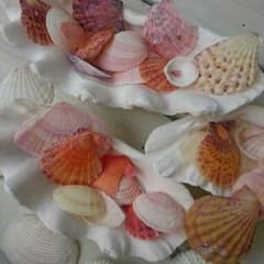 さと様専用☆打ち合わせ用のサムネイル