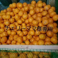チェリーママ様専用 上ノ太子みかん園のみかんのサムネイル