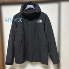 THE NORTH FACE マウンテンパーカー NP61540 ゴアテックス - メルカリ