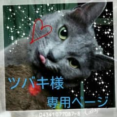 しがみつくにゃんこ＊*.のサムネイル